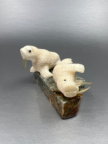 Ivory- 2 Walrus, Whisker, Base