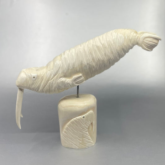 Dennis Pungowiyi Walrus Ivory Sculpture XXL