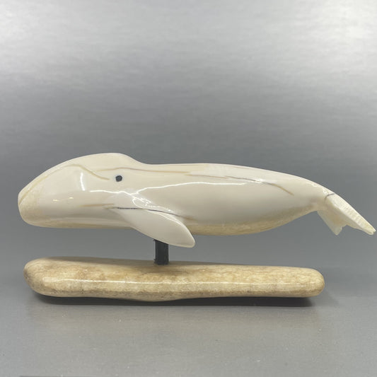 Ivory - RMK; Bowhead Whale on Bone Base