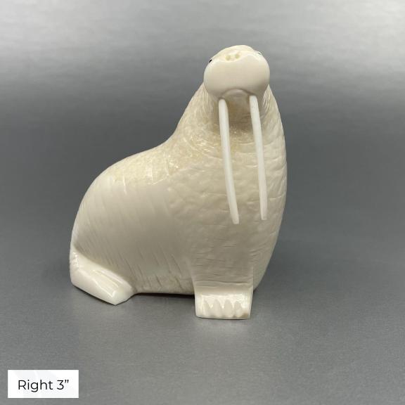 Oseuk Ivory Walrus, Various Sizes