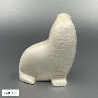 Oseuk Ivory Walrus, Various Sizes