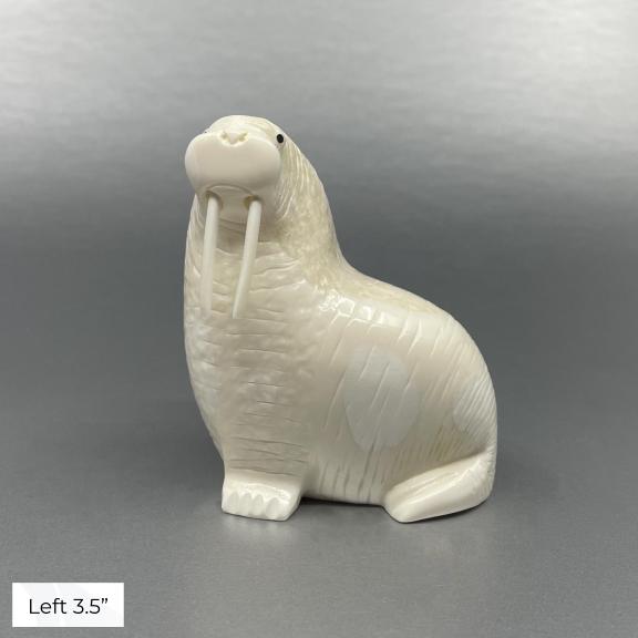 Oseuk Ivory Walrus, Various Sizes