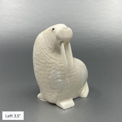 Oseuk Ivory Walrus, Various Sizes