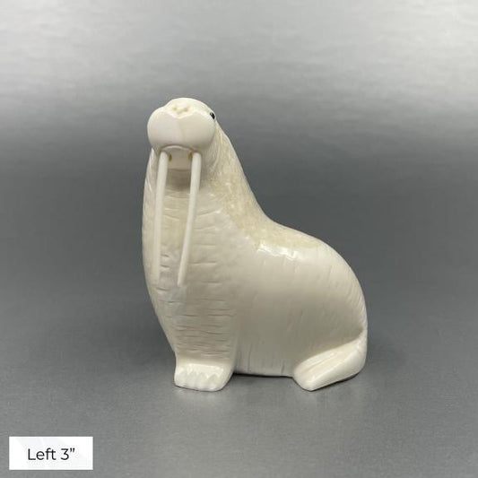 Oseuk Ivory Walrus, Various Sizes