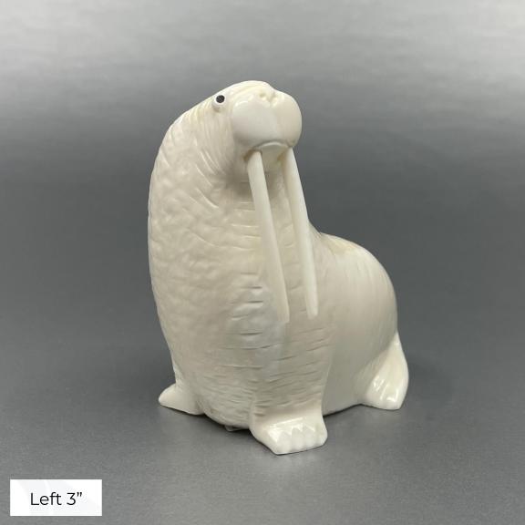 Oseuk Ivory Walrus, Various Sizes