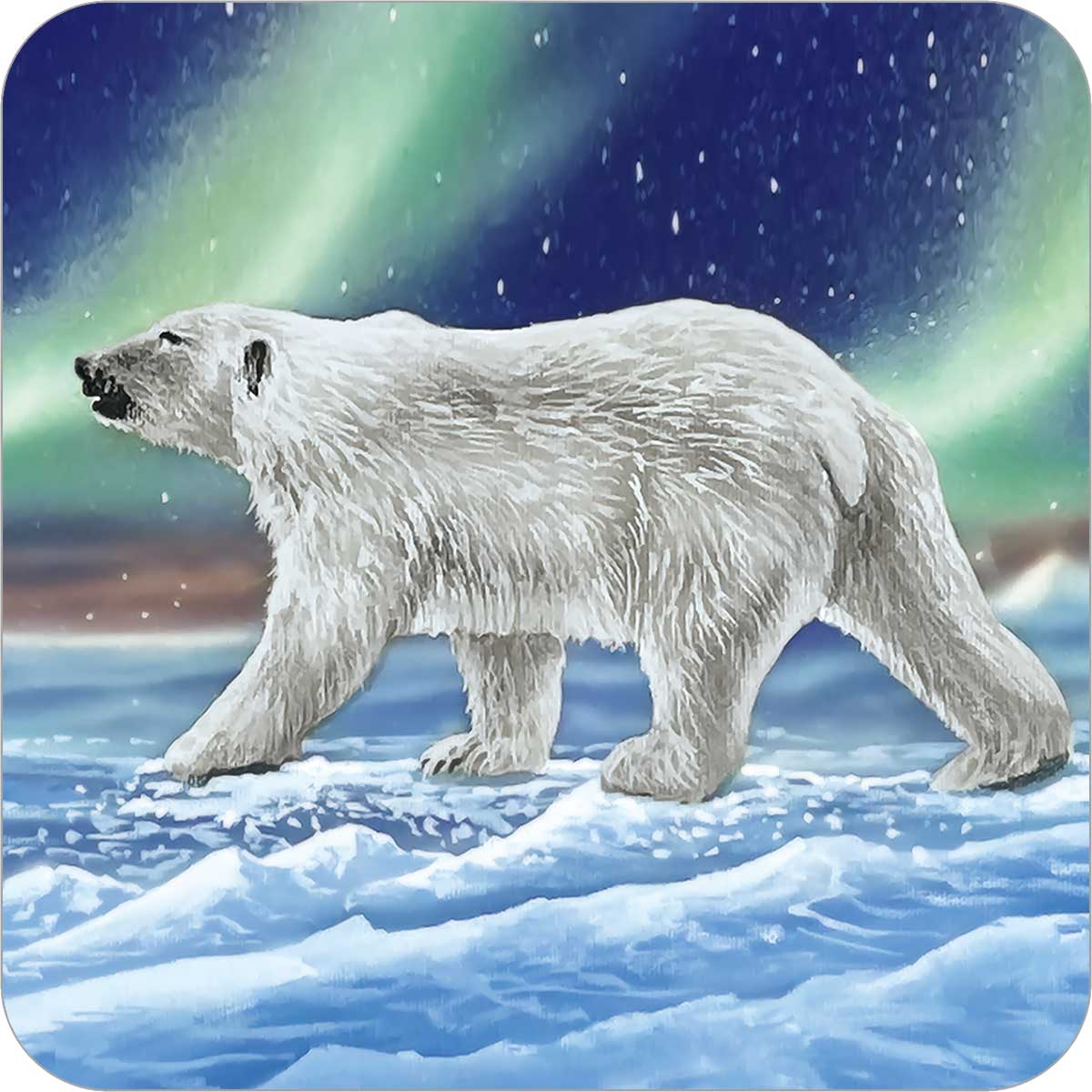 Ocean's Edge Coasters