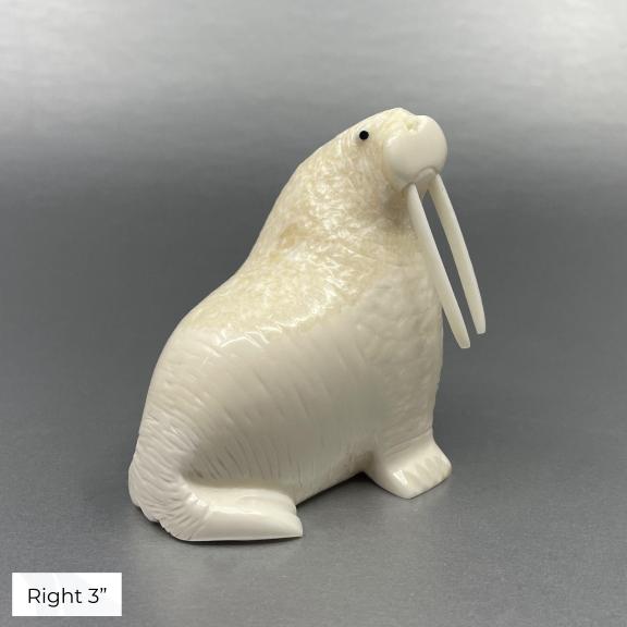 Oseuk Ivory Walrus, Various Sizes