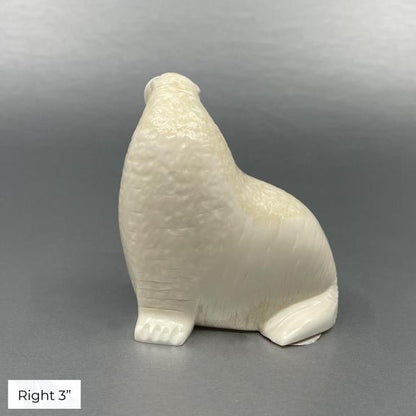 Oseuk Ivory Walrus, Various Sizes