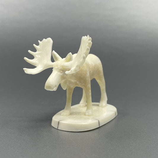 Savage Medium Ivory Moose