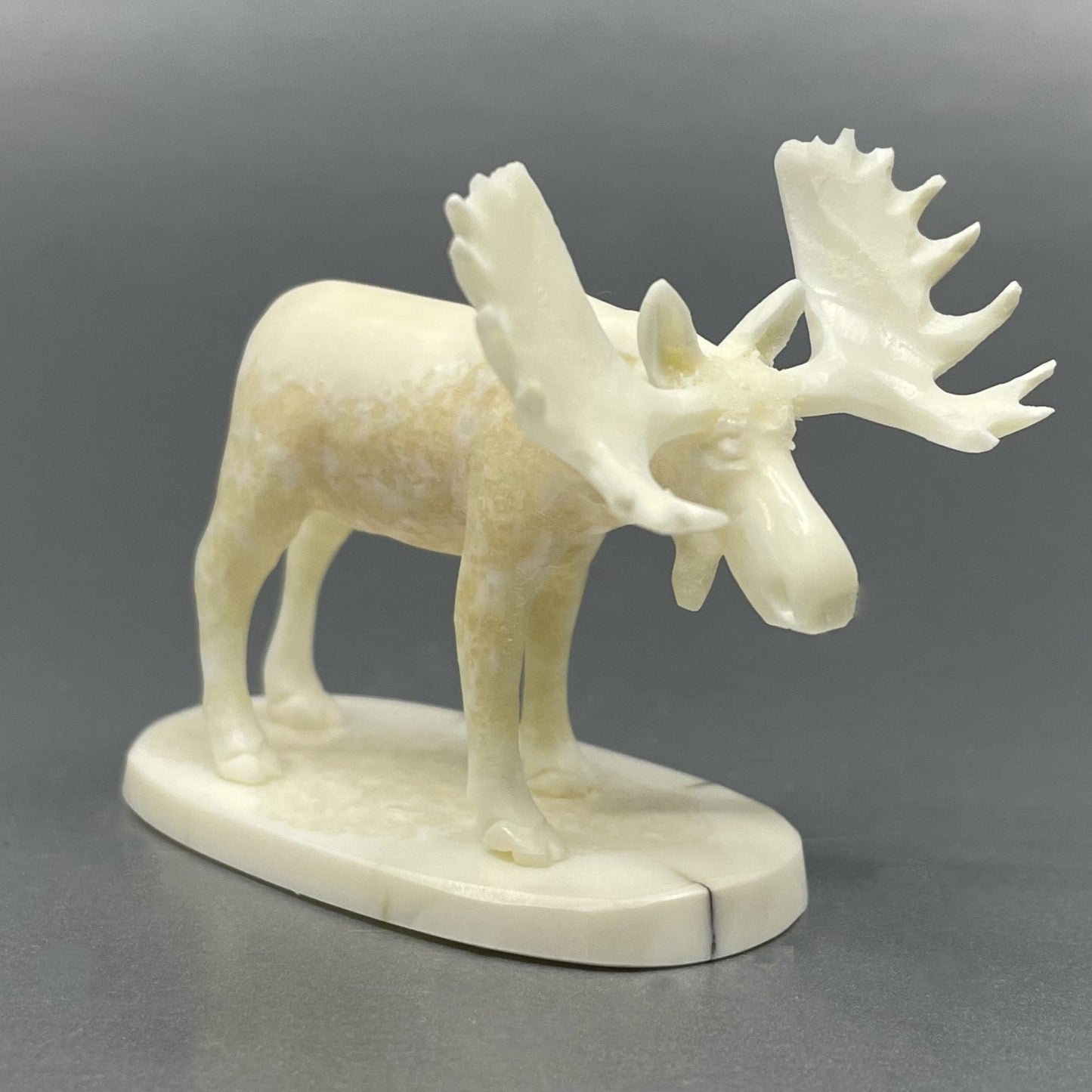 Savage Medium Ivory Moose