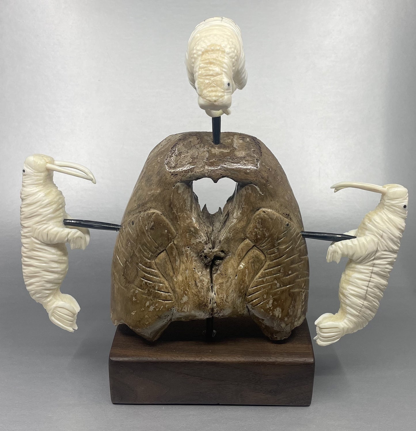 Pungowiyi Walrus Skull with 3 Walrus