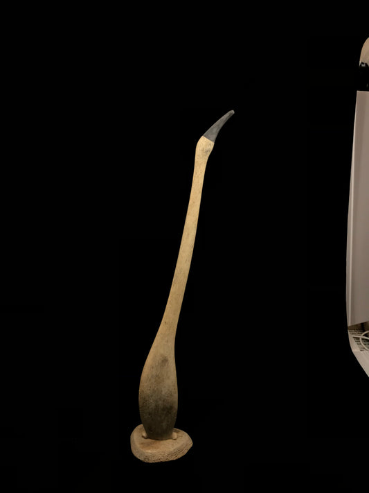 Cormorant- N. Evan, Whalebone w Baleen Beak, 14" & 23"