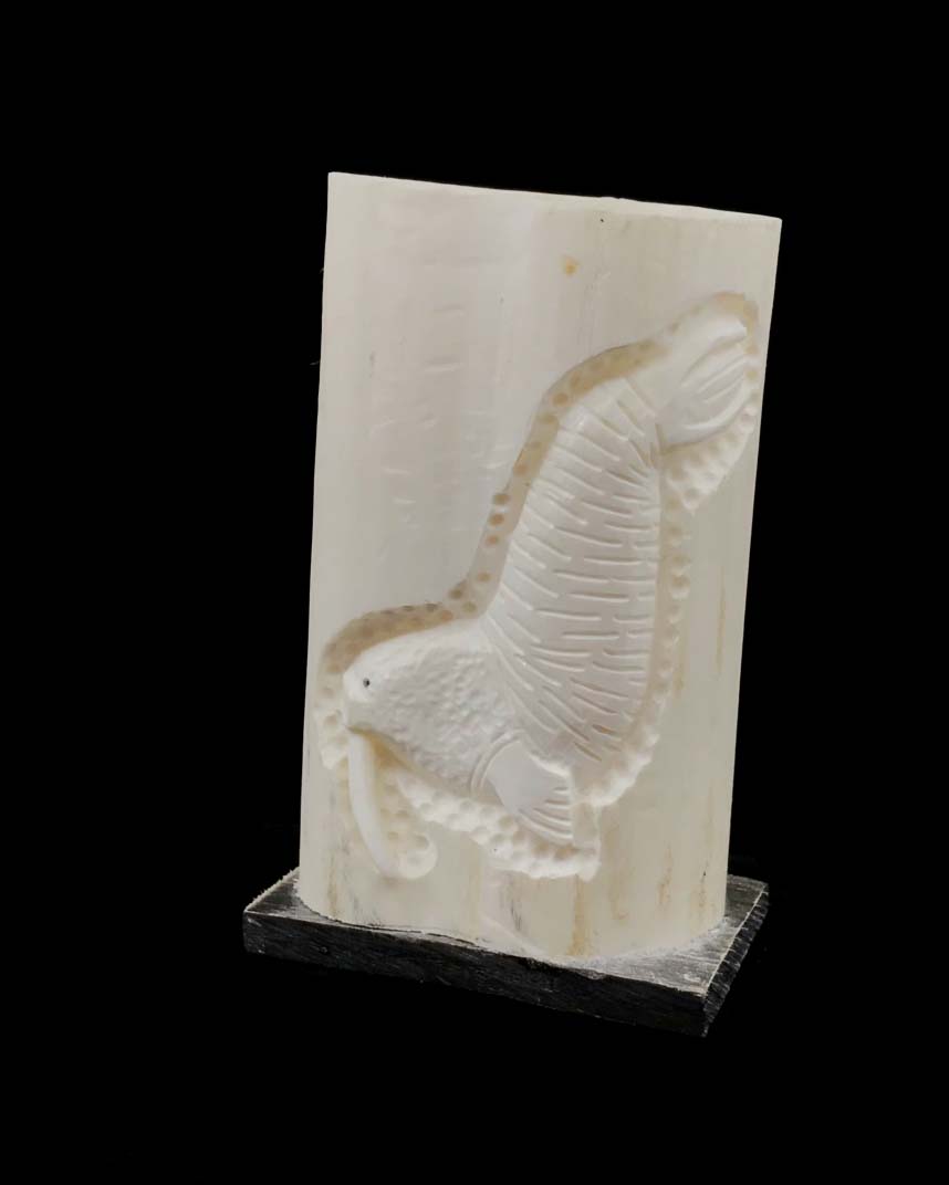 Ivory- C. Oozeva Jr., Tusk & Baleen, Walrus Tusk Box, 3.75"