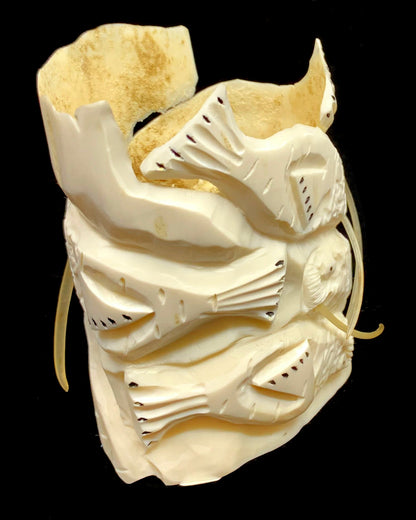 Ivory- D. Pungowiyi, Walrus Group End Cup