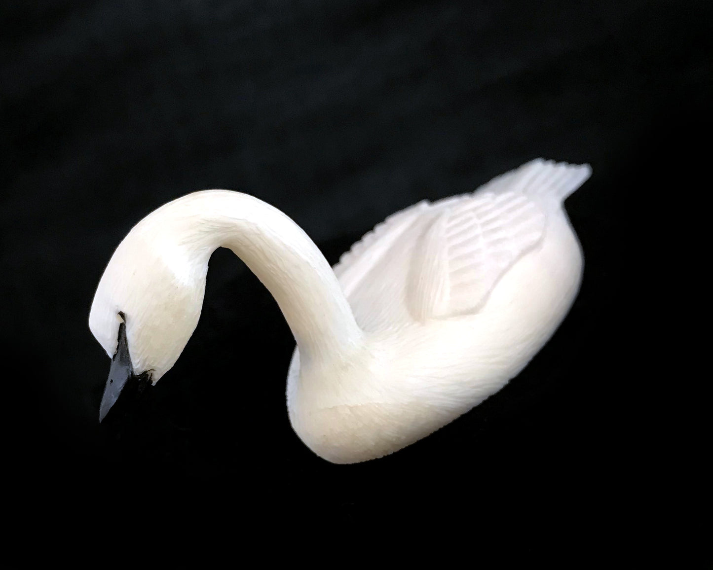 Ivory- F. Mayac, Trumpet Swan, Baleen Inlay