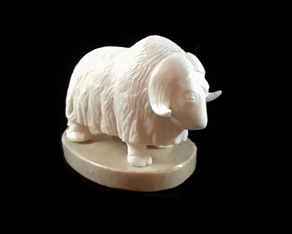 Ivory - Savage; Bone Base, Musk Ox, Various Sizes