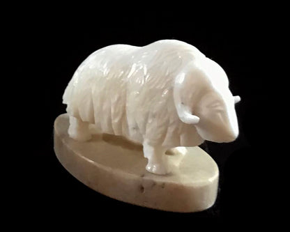 Ivory - Savage; Bone Base, Musk Ox, Various Sizes