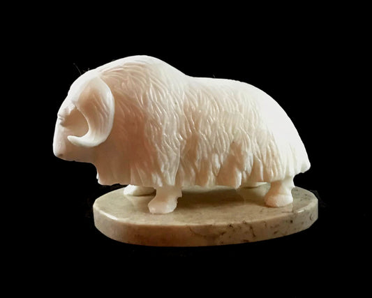 Hand-Carved Ivory Musk Ox Sculpture by Alaska Native Artist Leonard Savage | 2" & 2.5"