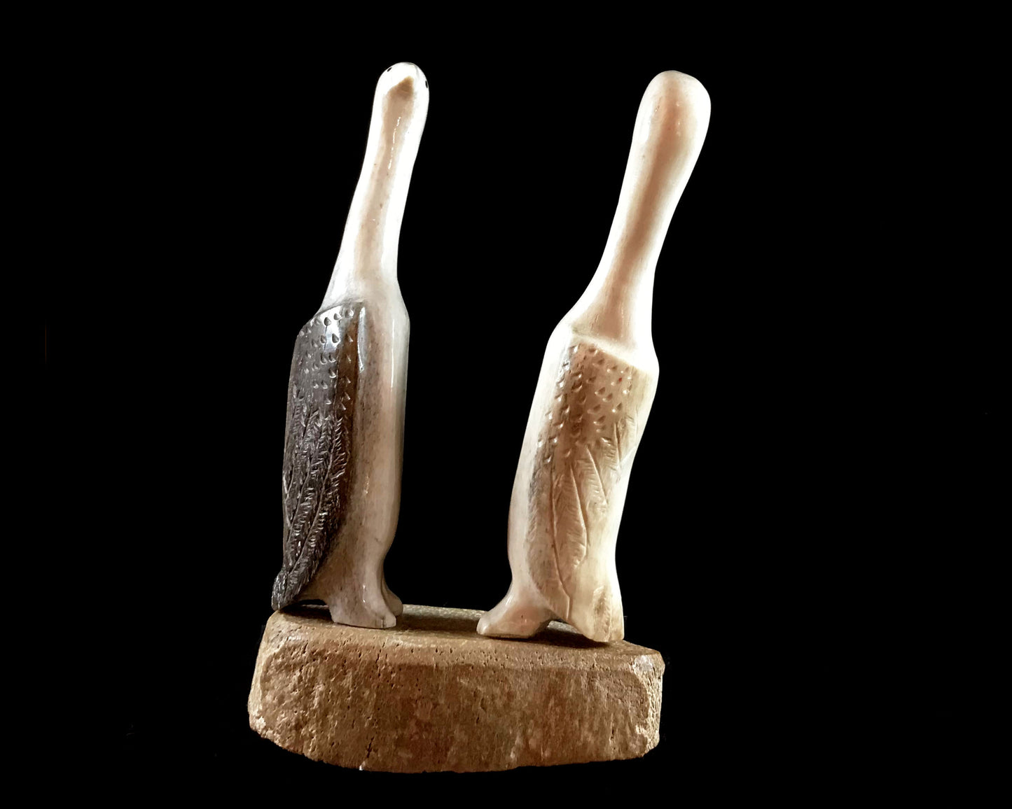 Bone- S. Oozeva, Fossilized Bone Base, Cormorants Face to Face