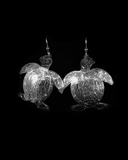 Tammy Owens Earrings Silver