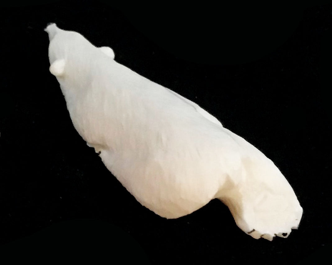 Ivory- Uglowook; Resting Polar Bear, Leg Out, 2.25"