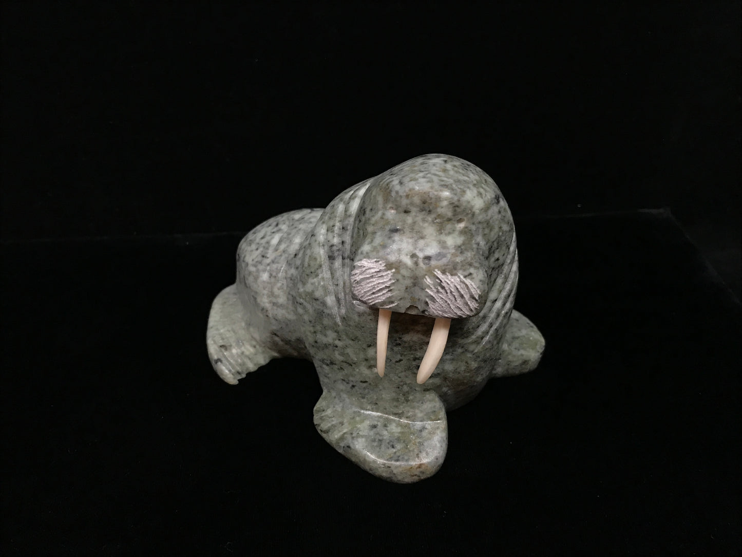 Soapstone- E. Tetpon III: Walrus, Med, Ivory