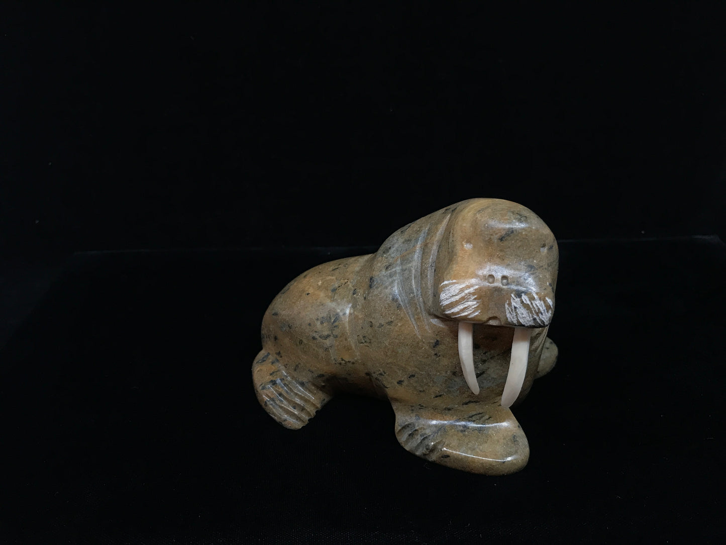 Soapstone- E. Tetpon III: Walrus, Med, Ivory